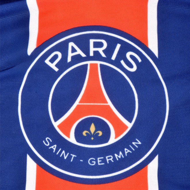 logo PSG- LI4544-5.jpg