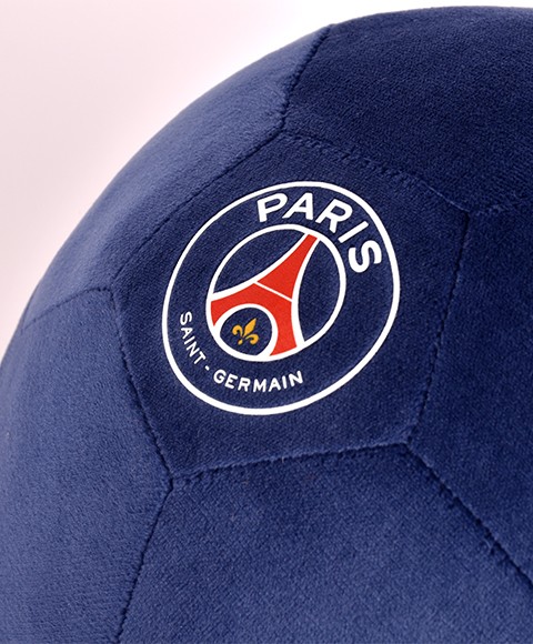 psg-li4610.1.jpg