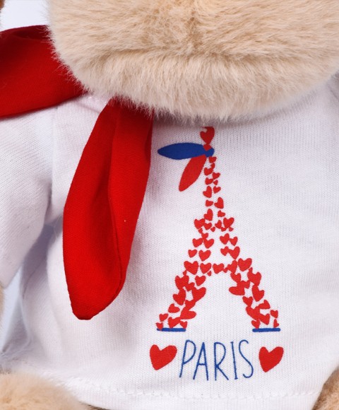 SOUVENIR PARIS-TOUR EIFFEL-SP4290-2.jpg