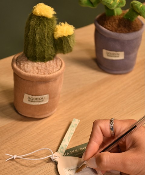 Peluche fleur - Cactus VertSP4345-12.jpg