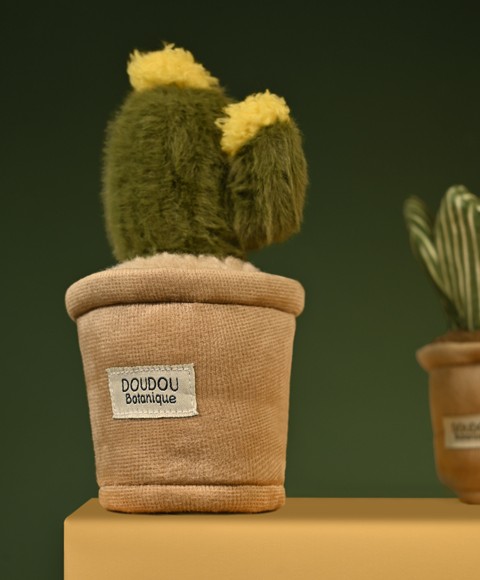 Peluche fleur - Cactus Vert-SP4345-12.jpg