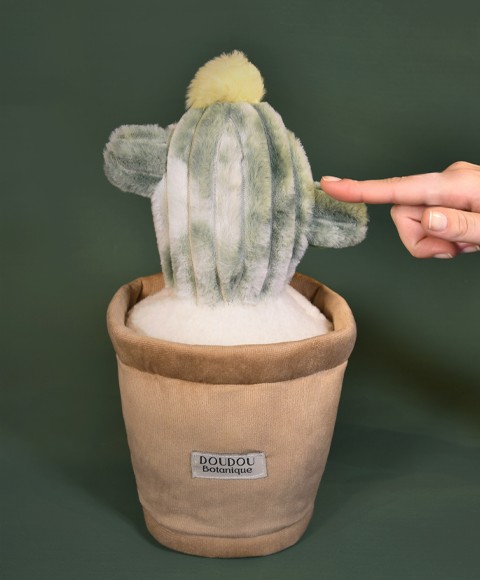 Peluche Cactus vert 25 cm- SP4346.jpg