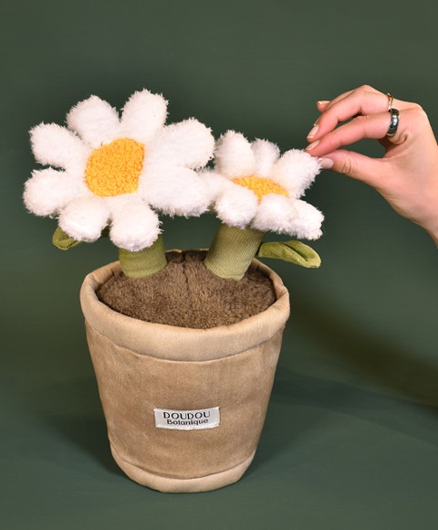 Peluche fleur - Marguerite - 25 cm- SP4347.jpg