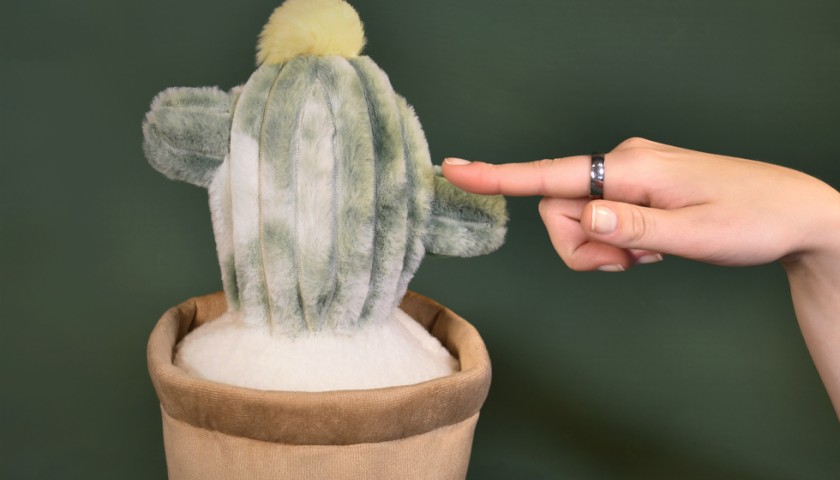 Peluche Cactus vert 25 cm