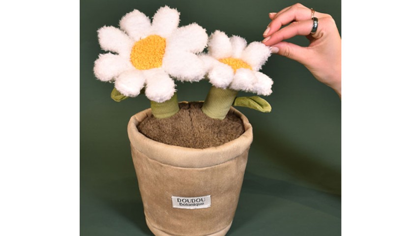 Peluche fleur - Marguerite - 25 cm