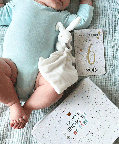 Coffret cadeau naissance bébé doudou lapin et cartes premiers mois