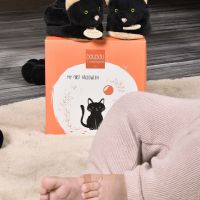 Chausson-chat.png