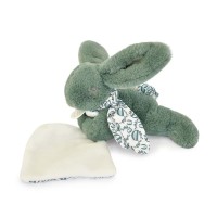 Lapin DOUDOU® - Peluche Lapin vert - Sans Boite