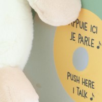 dc4358-poule.jpg