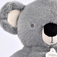 Respi'rêves - Koala - Focus