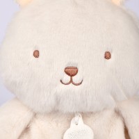 Lapin - Respi'rêves - Focus