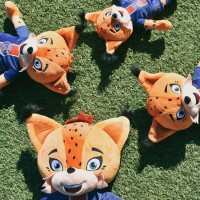 Peluche PSG Mascotte Officielle - Germain Le Lynx 50 cm-LI4275-1.jpg