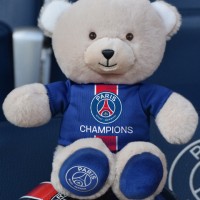 LI4561-Ours-champion-1.jpg