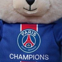 LI4561-Ours-champion.jpg