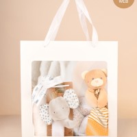 Pack cadeau naissance mixte