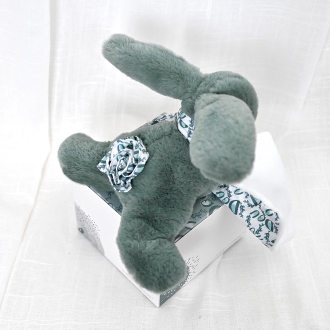 Lapin DOUDOU® - Peluche Lapin vert - Avec Boite