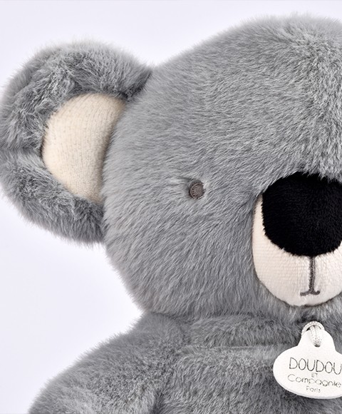 Respi'rêves - Koala - Focus