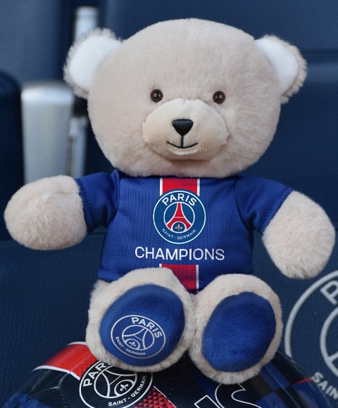 LI4561-Ours-champion-1.jpg