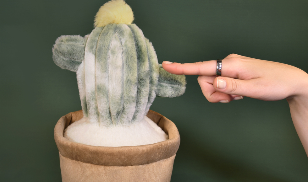 Peluche Cactus vert 25 cm