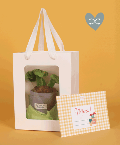 Kit Cadeau "Merci" Prêt à Offrir – Peluche Plante & Carte Personnalisable